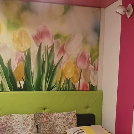 Goscinne Gniazdo Bedzin Ngoại thất bức ảnh