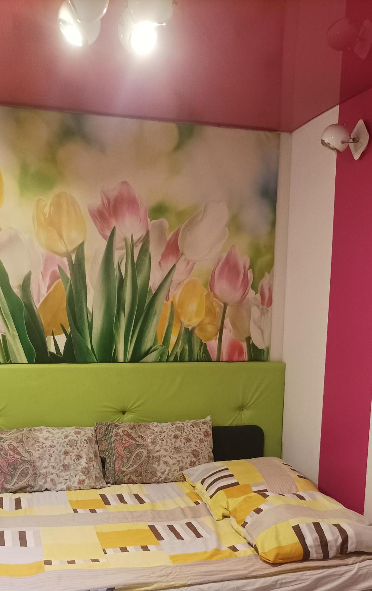 Goscinne Gniazdo Bedzin Ngoại thất bức ảnh